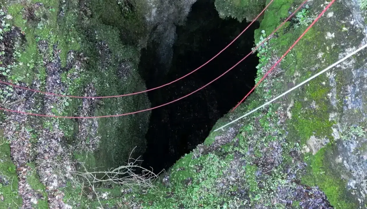 Antalya’da Fenomeni Şoke Eden Keşif! 1